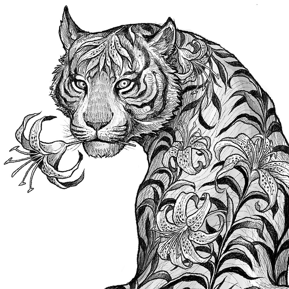 tiger lily coloring page Tiger Lily